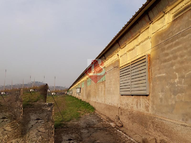 12 Bertoni Isolamenti in Poliuretano a Spruzzo pareti esterne